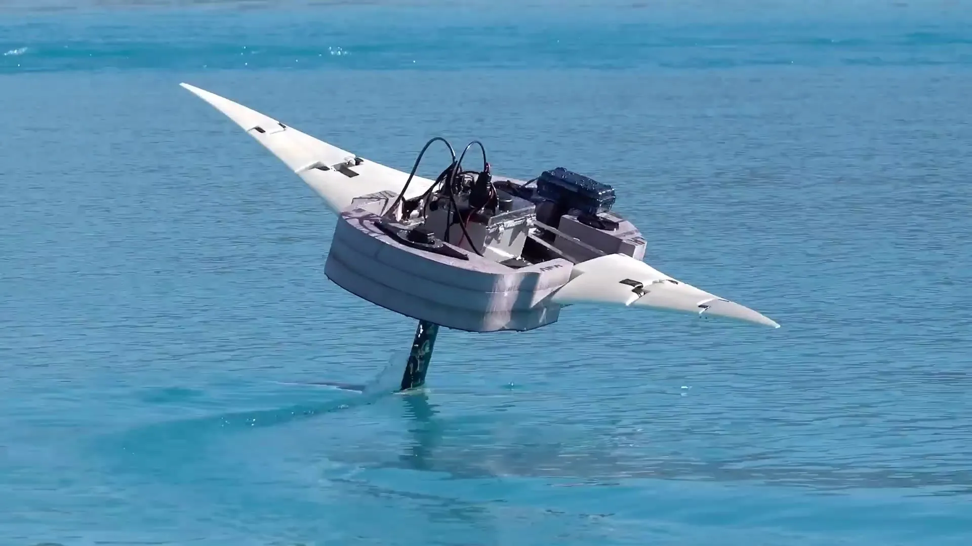 A manta-like animatronic with outstretched white wings riding above turquoise water on a hydrofoil mast.
